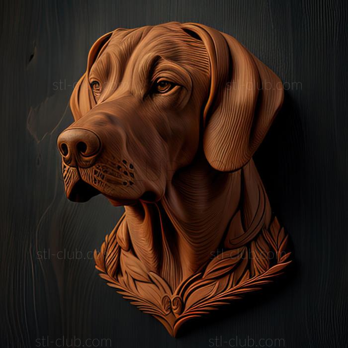 3D model st Rhodesian Ridgeback dog (STL)